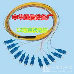 12芯束狀尾纖 通信設(shè)備銷售中的關(guān)鍵組件與高效供應(yīng)